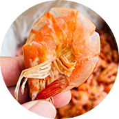 榮成市豐隆農(nóng)副產(chǎn)品精心細選 天然材料